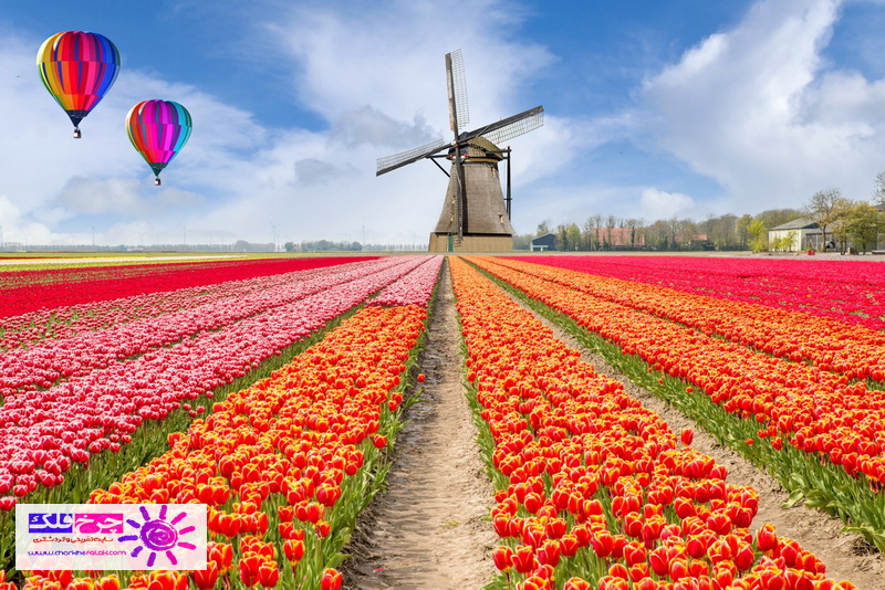 هلند سرزمین لاله های رنگارنگ یک مکان خیالی کاملا واقعی